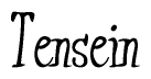 Cursive 'Tensein' Text