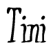 The image contains the word 'Tini' written in a cursive, stylized font.