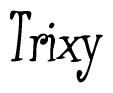 The image is of the word Trixy stylized in a cursive script.