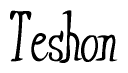 The image is a stylized text or script that reads 'Teshon' in a cursive or calligraphic font.