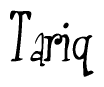 Tariq Calligraphy Text 