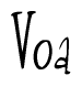 The image contains the word 'Voa' written in a cursive, stylized font.