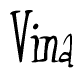 The image is of the word Vina stylized in a cursive script.