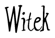 The image is of the word Witek stylized in a cursive script.