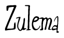 The image is a stylized text or script that reads 'Zulema' in a cursive or calligraphic font.