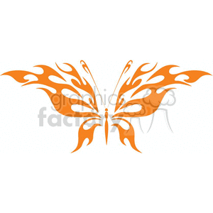 Graphic butterfly in orange vinyle ready