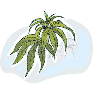 Clipart image of a green marijuana leaf with serrated edges against a blue background.