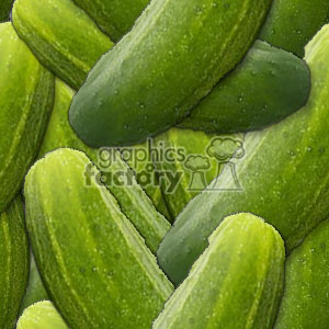 092106-pickles