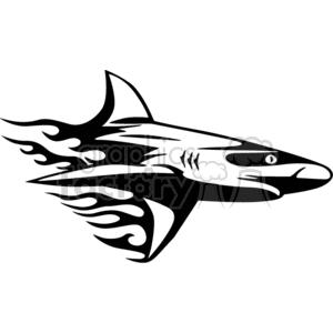 Shark with Flames - Dynamic Graphic Design