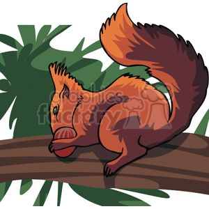 The clipart image shows a realistic vector illustration of a squirrel holding a nut in its paws. The squirrel is depicted in a lifelike manner, with detailed fur and shading, and is standing on a tree branch or log. The nut is also depicted realistically and appears to be a common type of nut that squirrels would eat.
