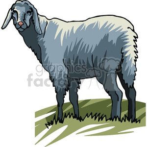 The image is a clipart of a sheep standing on grass. The sheep has a thick wool coat, and the illustration style is semi-realistic with a clear outline and shading that give a sense of volume.