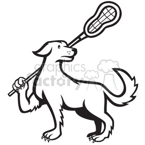 black and white dog lacrosse stick