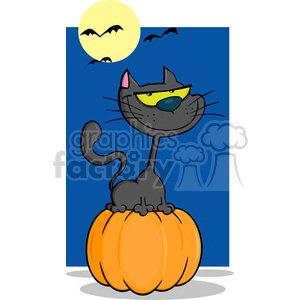 6621 Royalty Free Clip Art Halloween Cat On Pumpkin In The Night Cartoon Illustration