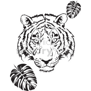   tiger head black and white 
