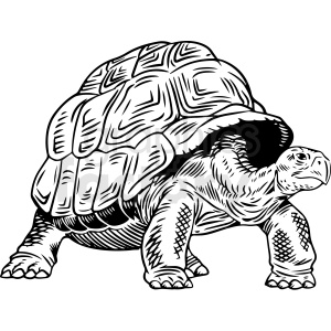 This image depicts a stylized black and white clipart illustration of a turtle. The turtle has intricate shell patterns that resemble tattoo designs, giving it a unique and artistic look.
