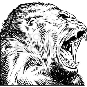 Clipart image of a roaring, aggressive gorilla with an open mouth and visible teeth, depicted in black and white line art.