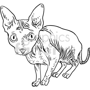 The image is a line art illustration of a Sphynx cat. You can tell from the lack of fur, prominent ears, and the texture of the skin which is common for this breed.