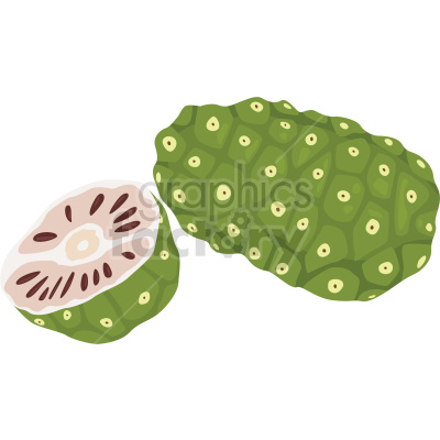 Clipart image of a noni fruit, showing both a whole fruit and a sliced section.