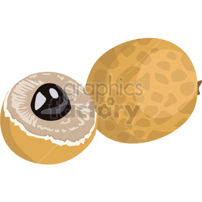 Clipart image of a longan fruit, showing both the whole fruit and a half fruit with black seed visible.