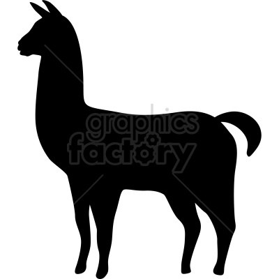 Silhouette of a llama standing
