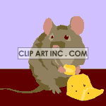 animated rat eating a piece of cheese
