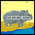 animated hippo