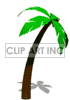 Animated palm tree