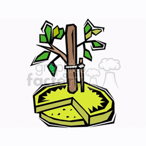 The clipart image shows a stylized representation of a young tree with a few green leaves. The tree is supported by a stake or wooden stick, which is tied to the tree to help it grow straight. It's planted in the ground, which is indicated by a patch of stylized, textured soil with a grassy edge.