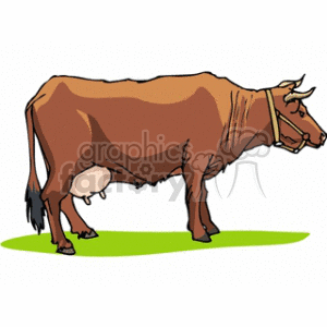 Brown Cow Illustration - Image of a Dairy Cow on Green Ground