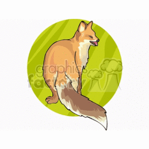 The clipart image shows a stylized red fox. The fox is depicted in profile view showing its distinctive features such as pointed ears, elongated snout, and bushy tail that fades from red to white at the tip. It seems to be sitting with its tongue slightly out, giving it a sly or cunning expression. The background consists of a green circular pattern that contrasts with the fox's warm colors.