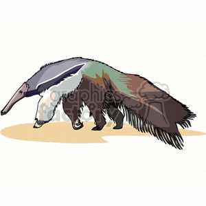 The image features a stylized clipart representation of an anteater, also known as a tamanoir. The animal is depicted with a long snout, a bushy black and white tail, and a hunched, elongated body typical of anteaters.