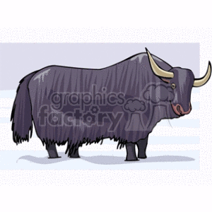 The clipart image features a stylized illustration of a yak. The yak is primarily black in color, with a heavy coat of fur, which is characteristic of the species, and it has large, curved horns.