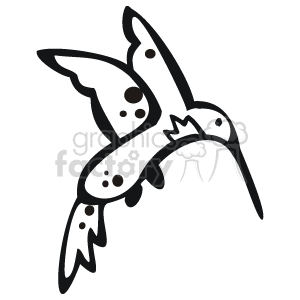 Black and white humming bird hovering