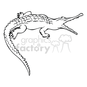 The image is a line drawing of an alligator or crocodile with its mouth open, showing its sharp teeth. It is a vector illustration that can be scaled without losing quality.