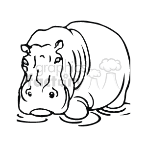 The image is a line art drawing of a hippopotamus, a large semi-aquatic mammal found in the wild.