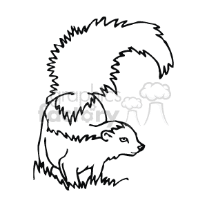 The image is a black and white clipart of a skunk. It features the animal in a side profile with its distinctive bushy tail raised.