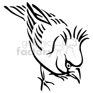 Red cardinal line art