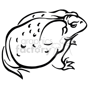 Black and white frog drawing