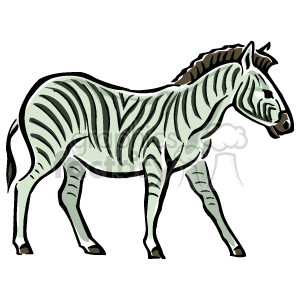 Stylized Zebra