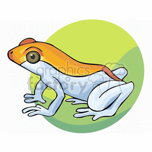 Cartoon Frog - Orange and Light Blue Amphibian