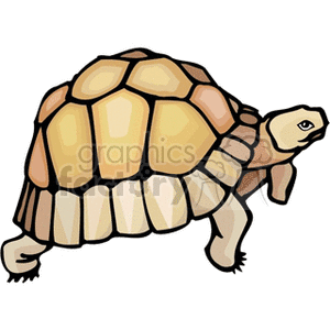 The image shows a clipart illustration of a turtle. The turtle has a detailed shell with segments in shades of brown and tan, and its body and head are in a lighter tone. It is designed in a simplified cartoon style, typically used in educational materials, children's books, or as a graphical icon.