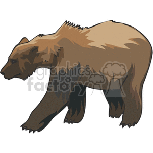 Full body profile of large grizzly bear