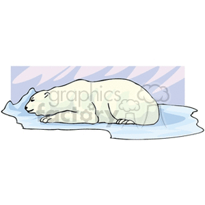 Polar bear resting on the ice