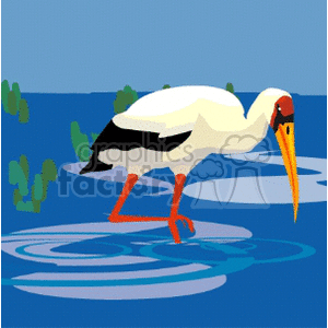 A clipart image of a stork standing in shallow water with aquatic plants in the background.