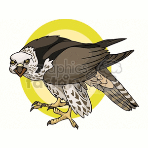 A clipart image of a predatory bird, possibly a hawk or falcon, with a stern expression and outstretched claws, set against a circular yellow background.