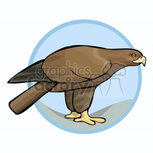 Clipart image of a brown eagle with a yellow beak and feet, standing inside a light blue circle.