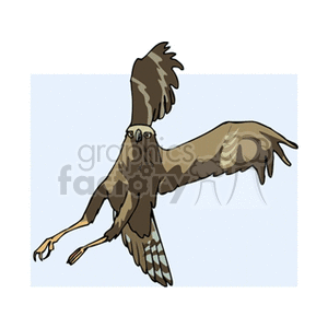 Clipart image of a brown hawk with outstretched wings in flight, showing detailed feather patterns.