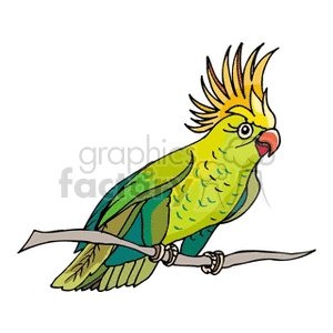 A colorful clipart image of a parrot with vibrant green, yellow, and orange feathers, perched on a branch. The parrot features a spikey crest atop its head, enhancing its striking appearance.