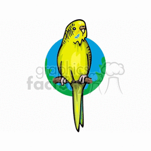 A colorful clipart image of a yellow and green parakeet perched on a branch, with a circular blue and green background.