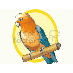 A colorful parrot perched on a branch with a yellow background.